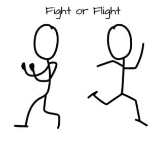 Fight or flight